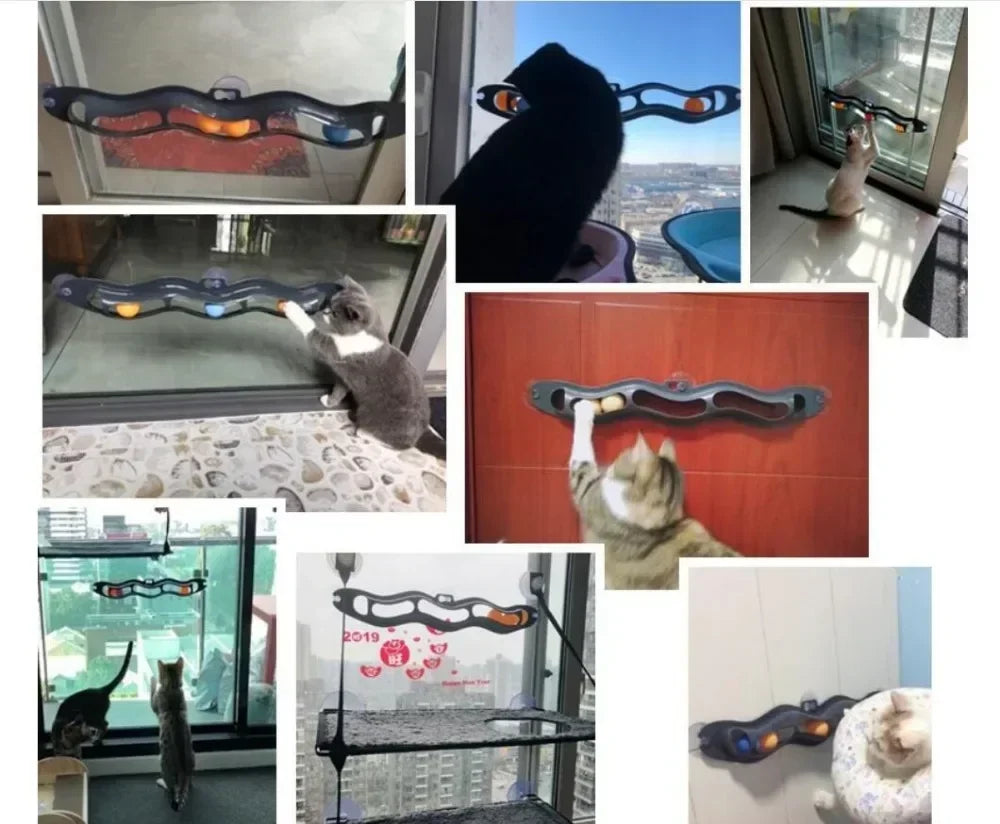 Suction Cup Track Ball Cat Toy for Interactive Play