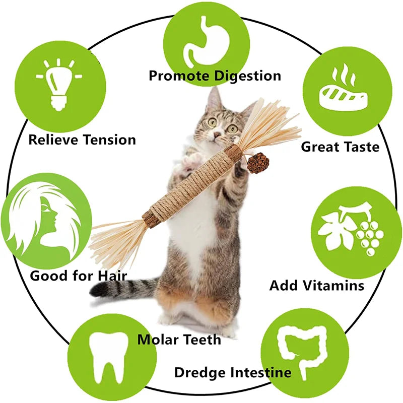 Cat Dental Grinding Chew Sticks for Teeth & Gums
