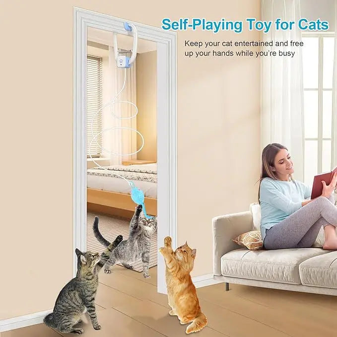 Door-Mounted Interactive Cat Teaser