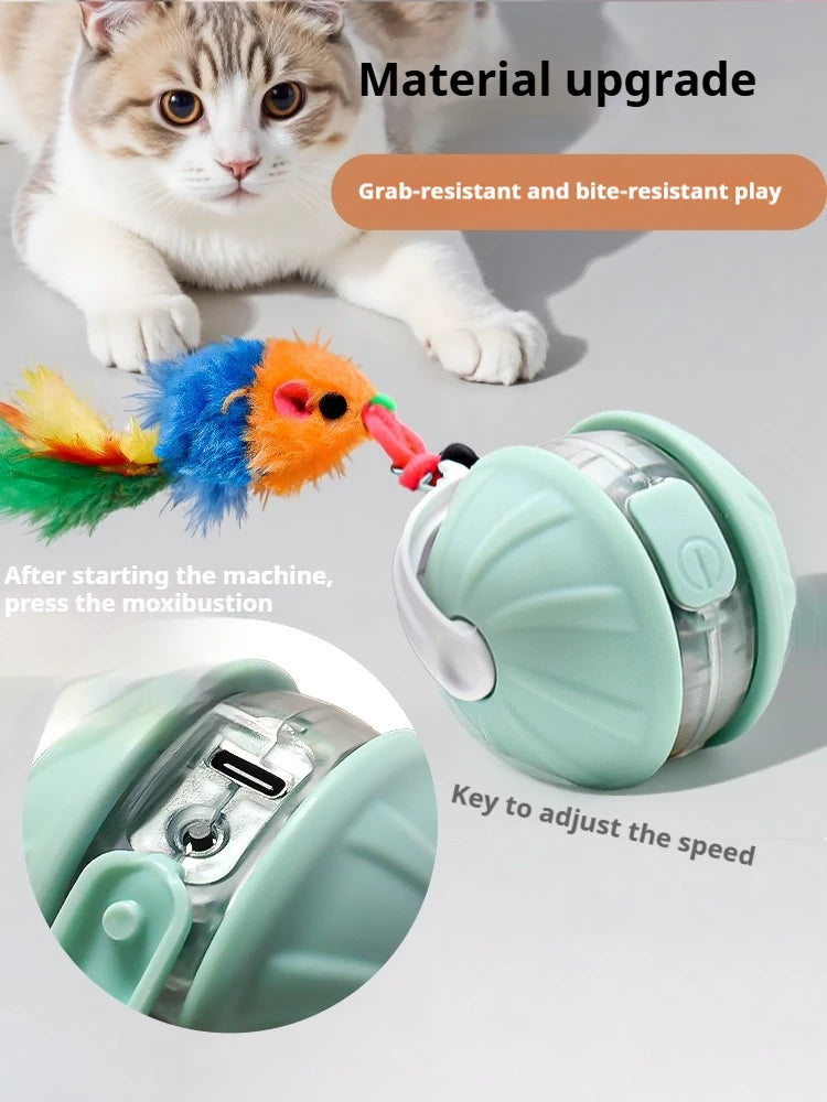 Automatic Interactive Cat Ball Toy