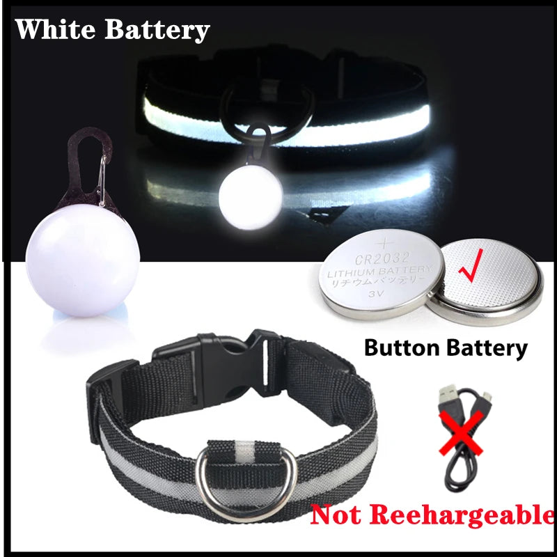 LED Light-Up Safety Collar