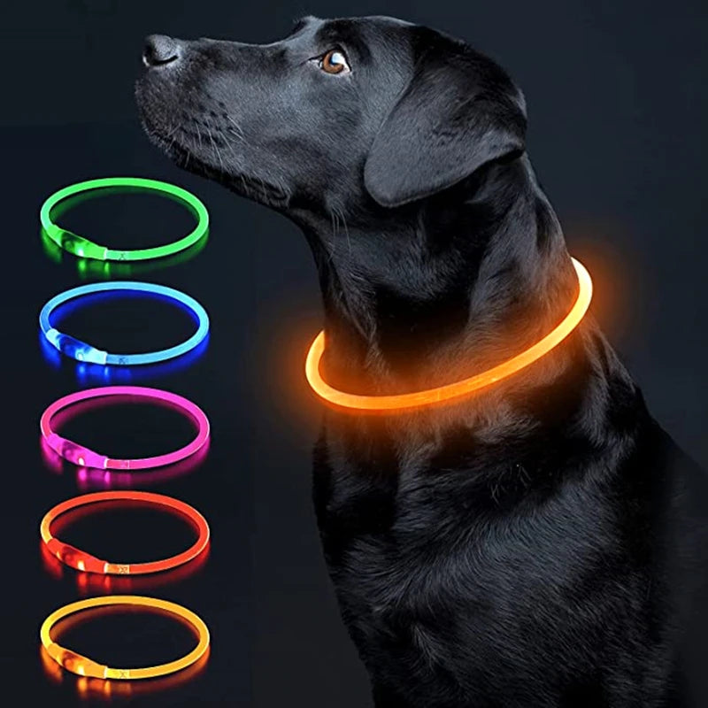 Petzrella LED Pet Collar – USB Rechargeable Night Safety