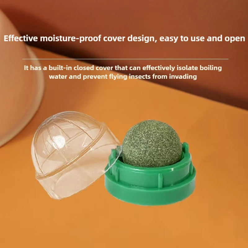 Catnip Dental Toy Set