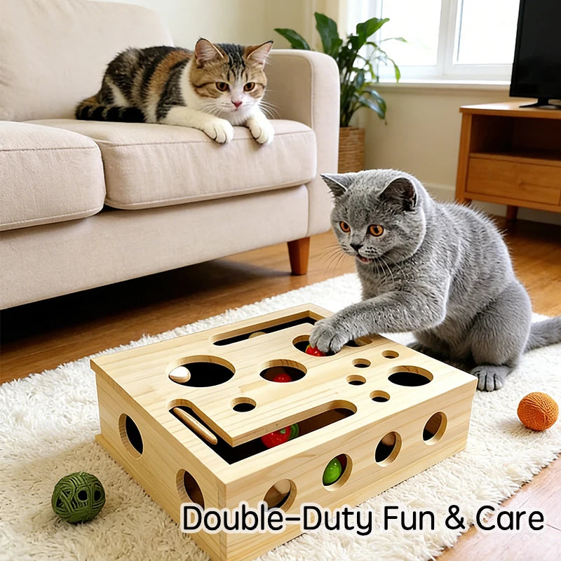 Wooden Cat Puzzle Box with Balls