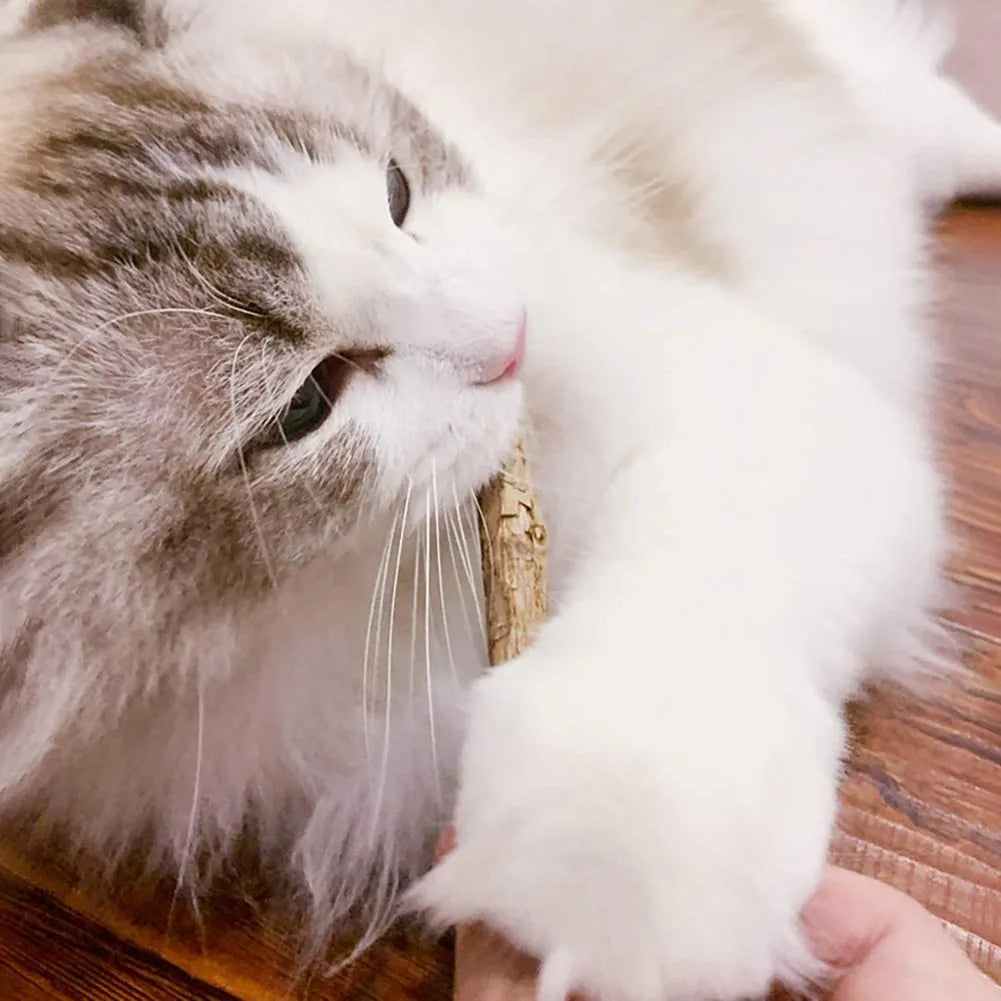 Natural Catnip Wood Sticks – 15-Piece Set for Cats