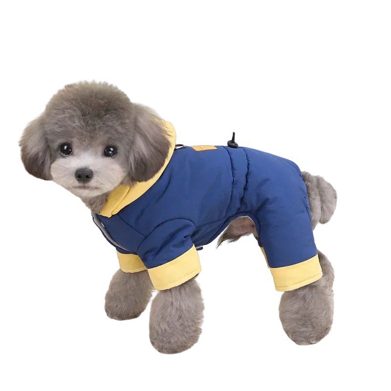 Waterproof Winter Jumpsuit