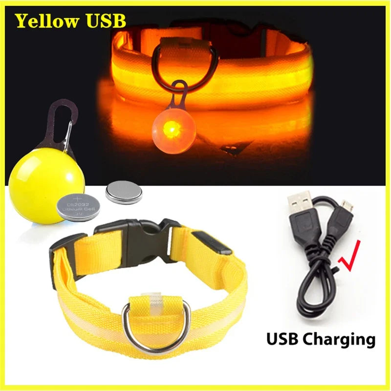 LED Light-Up Safety Collar