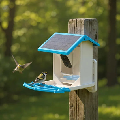 Bird View®