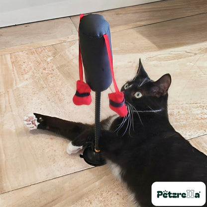 Tuxedo cat lying on the floor reaching a paw up to the Petzrella Suction Cup Boxing Toy