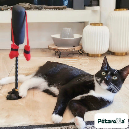 Tuxedo cat stretched out on the floor next to the Petzrella Suction Cup Boxing Toy
