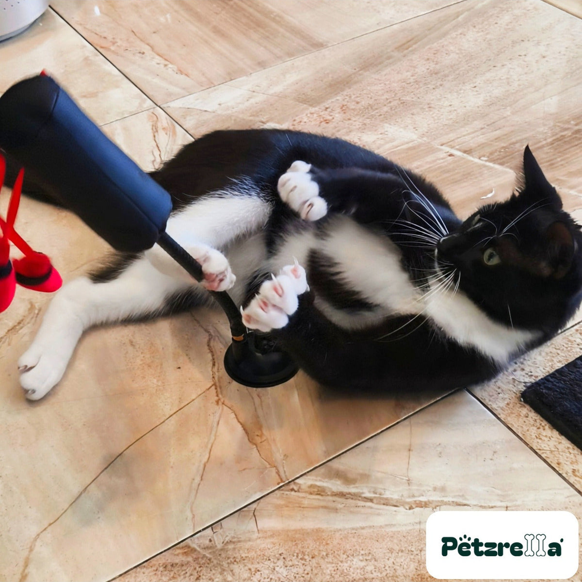 Tuxedo cat on its back gripping the Petzrella Suction Cup Boxing Toy with all four paws