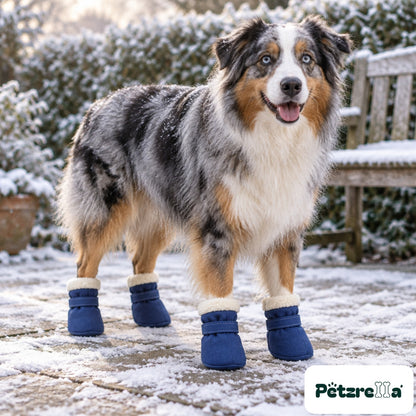 Petzrella Winter Snow Boots for Dogs - Blue, worn by an australian shepherd on a snowy terrace