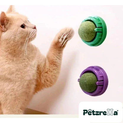 Petzrella Rotatable Catnip Wall Balls – Wall-Mounted Cat Toy