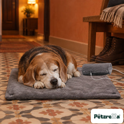 Petzrella USB Heated Pet Blanket with an older beagle resting on it