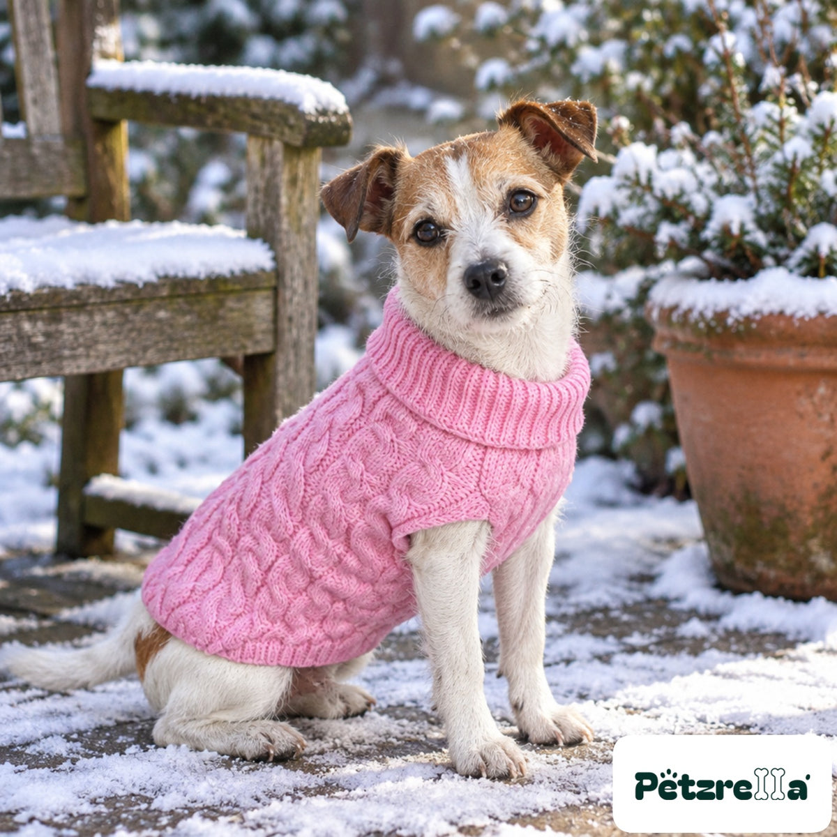 Petzrella Knitted Dog Sweater on a terrier on a snowy terrace