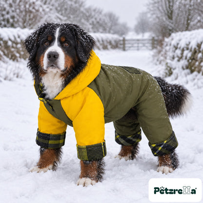 Petzrella Waterproof Dog Jumpsuit on a Bernese Mountain Dog in deep snow