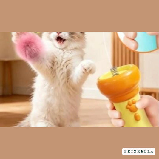 Cat playing with the Petzrella interactive cat ball launcher toy