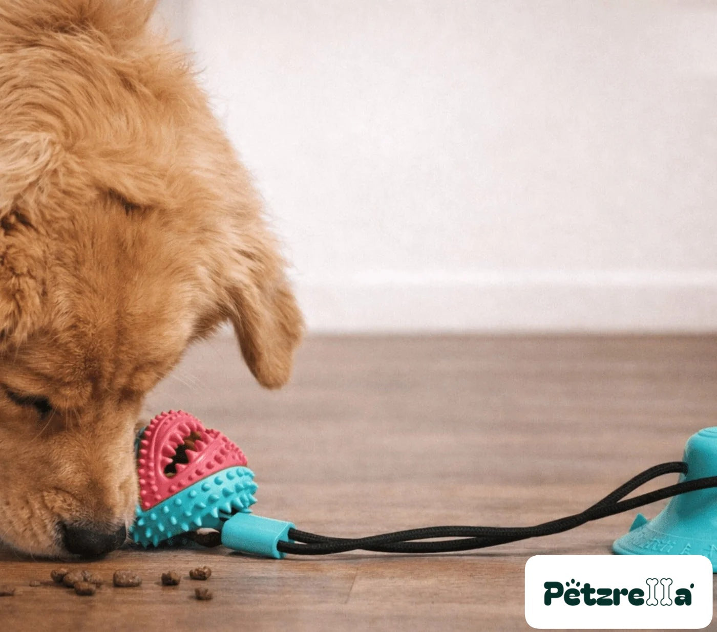 Petzrella Interactive Suction Tug Toy
