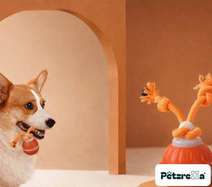 Petzrella Sonic Play Smart Dog Ball