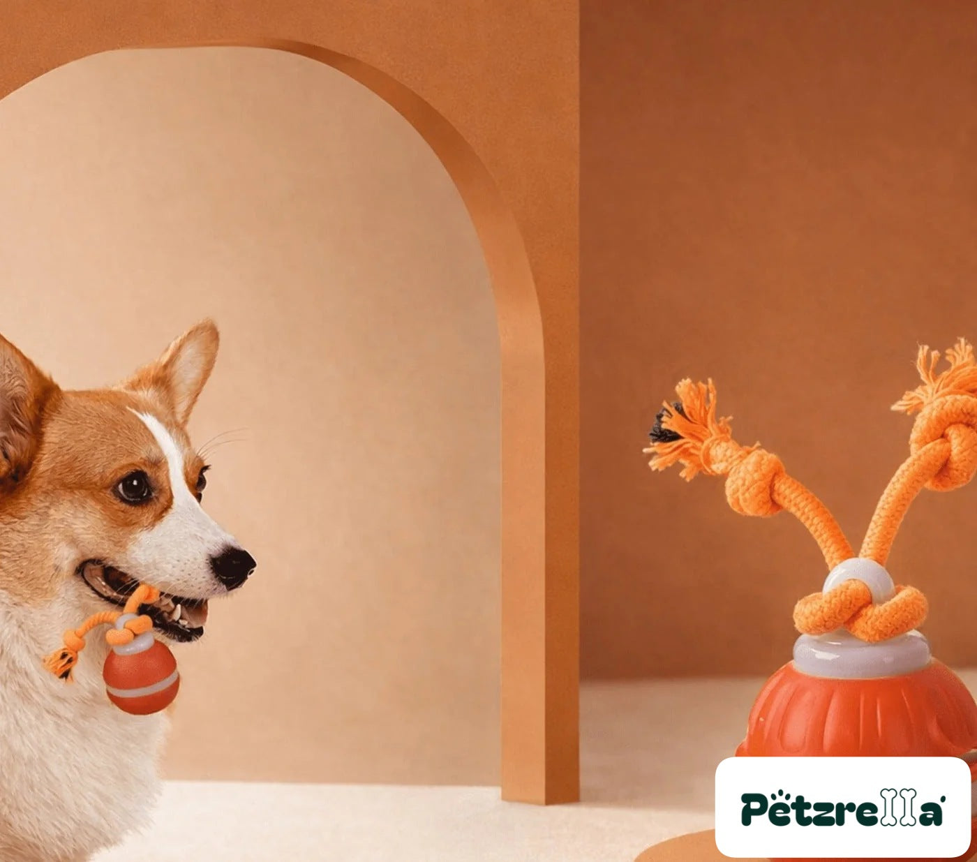 Petzrella Sonic Play Smart Dog Ball