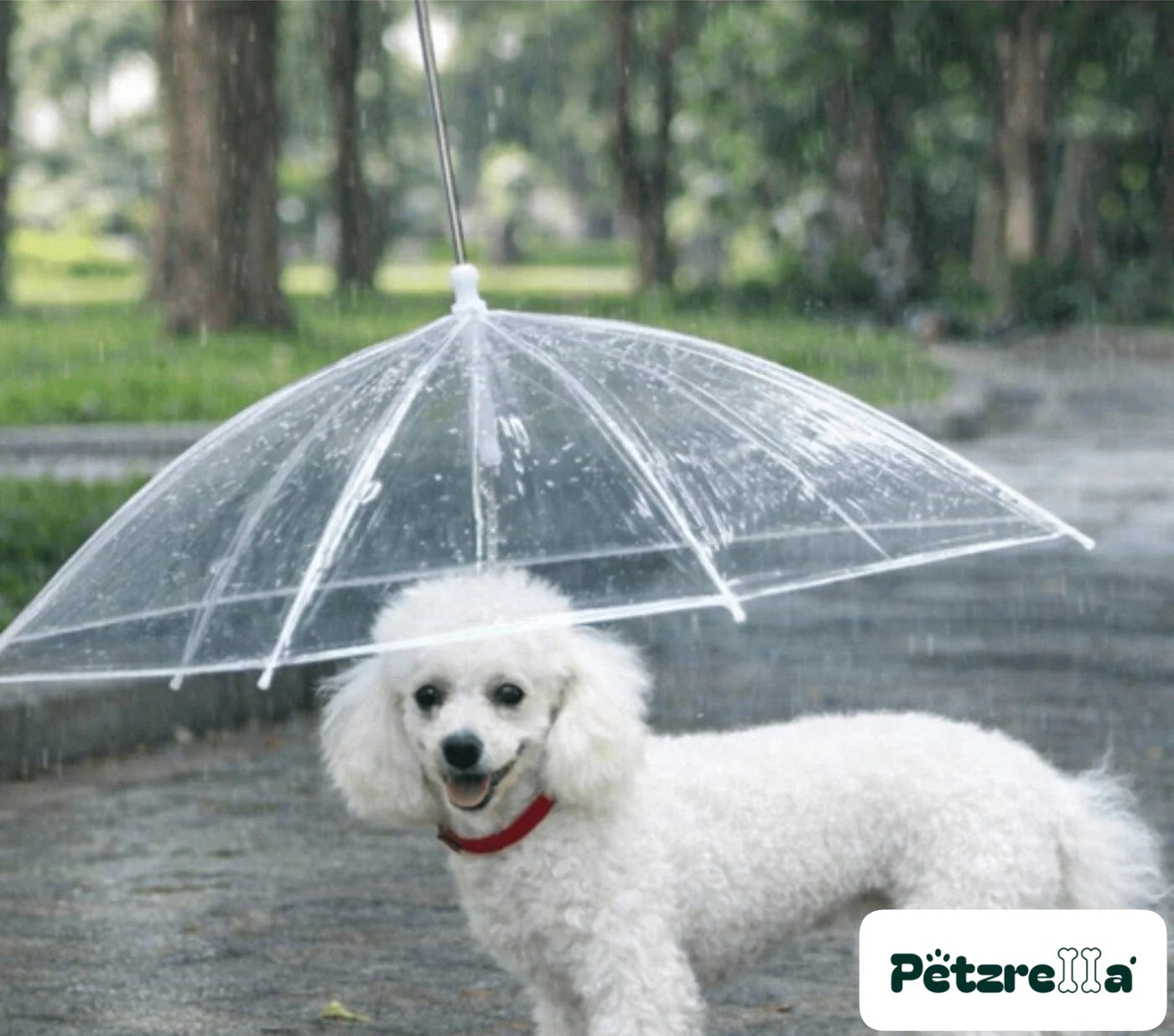 Petzrella Transparent Pet Umbrella