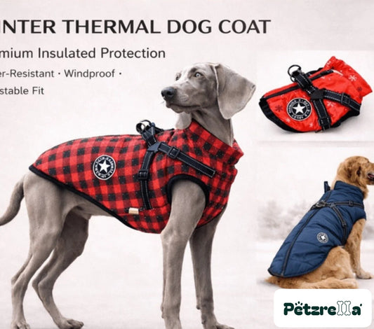 Petzrella Winter Thermal Dog Jacket