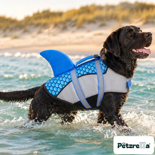 Petzrella Dog Life Jacket in blue with shark fin on a Labrador in the water