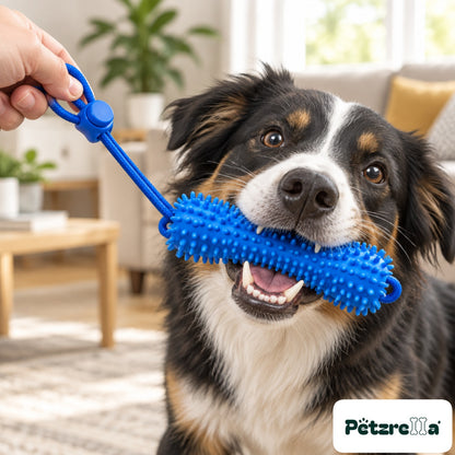 Close-up of a dog chewing the Petzrella dental chew toy with rope