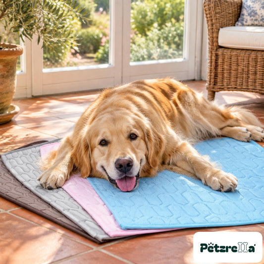 Petzrella Ice-Cool Summer Pet Cooling Mat