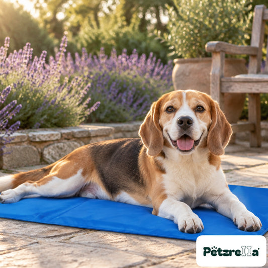 Petzrella Summer Gel Cooling Mat