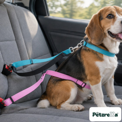 Petzrella Safe Travel Seatbelt Leash
