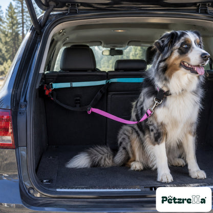 Petzrella Safe Travel Seatbelt Leash - view 4