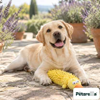 Petzrella Plush Dog Toy - view 2