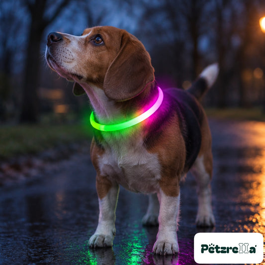 Petzrella LED Pet Collar