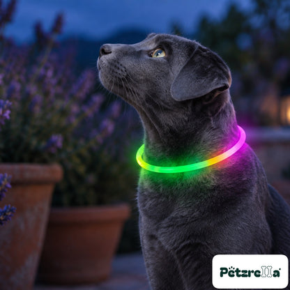 Petzrella LED Pet Collar - view 2