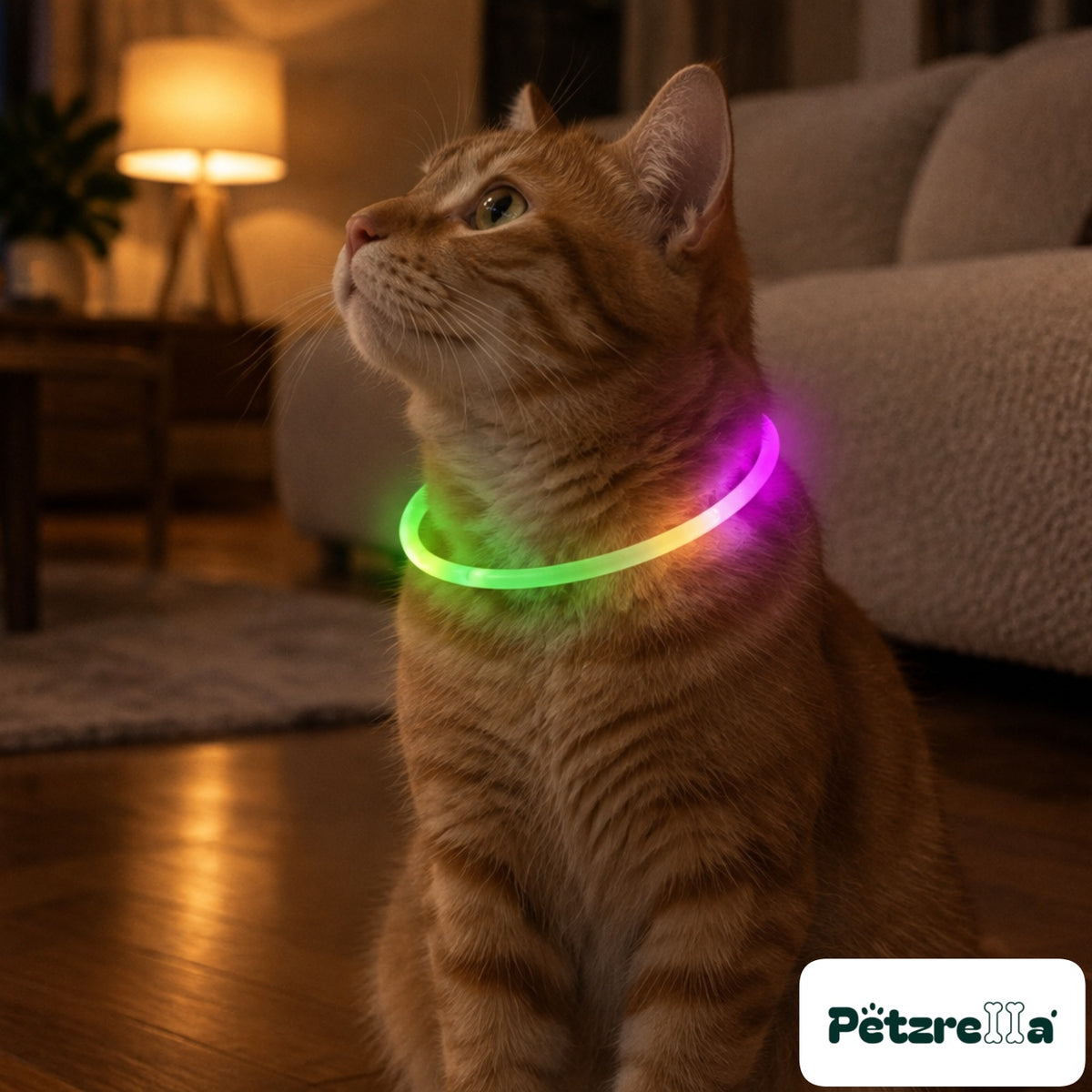 Petzrella LED Pet Collar - view 4