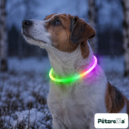 Petzrella LED Pet Collar - view 5