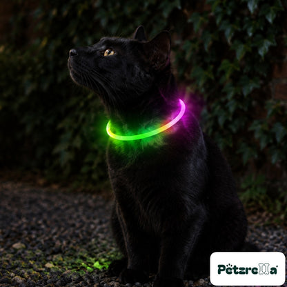Petzrella LED Pet Collar - view 6