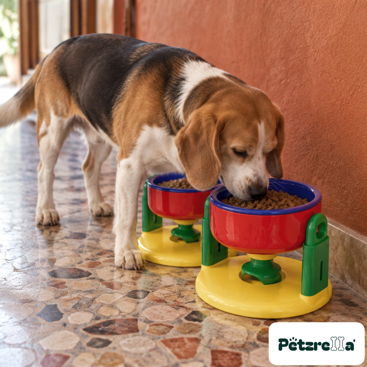 Petzrella Adjustable Double Feeding Bowl