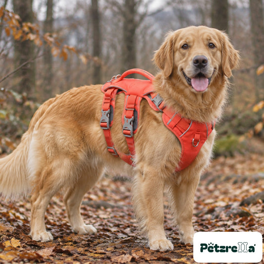Petzrella Reflective Vest Dog Harness