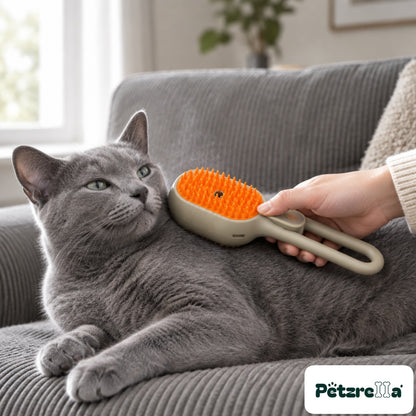 Petzrella Steam Electric Grooming Brush - Russian Blue cat on sofa