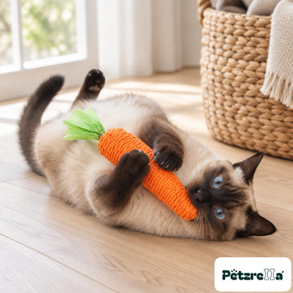 Petzrella Carrot Chew Toy for Cats - Siamese cat on oak floorboards