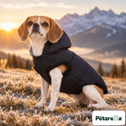 Petzrella Arctic Shield Puffer Jacket - Beagle on frosty alpine meadow