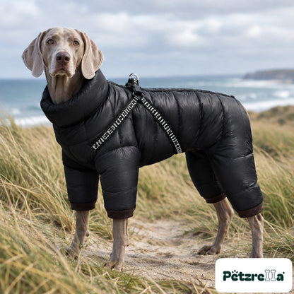 Petzrella Winter Dog Coat Snowsuit - Weimaraner on coastal dune path