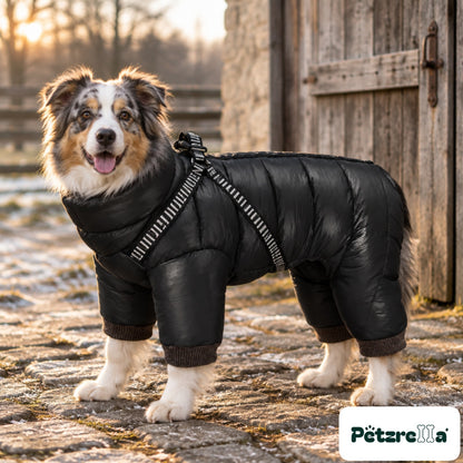 Petzrella Winter Dog Coat Snowsuit - Australian Shepherd in farmyard