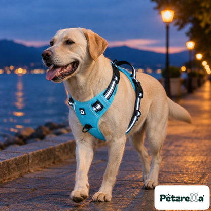 Petzrella Reflective No-Pull Dog Harness - Labrador on lakeside promenade