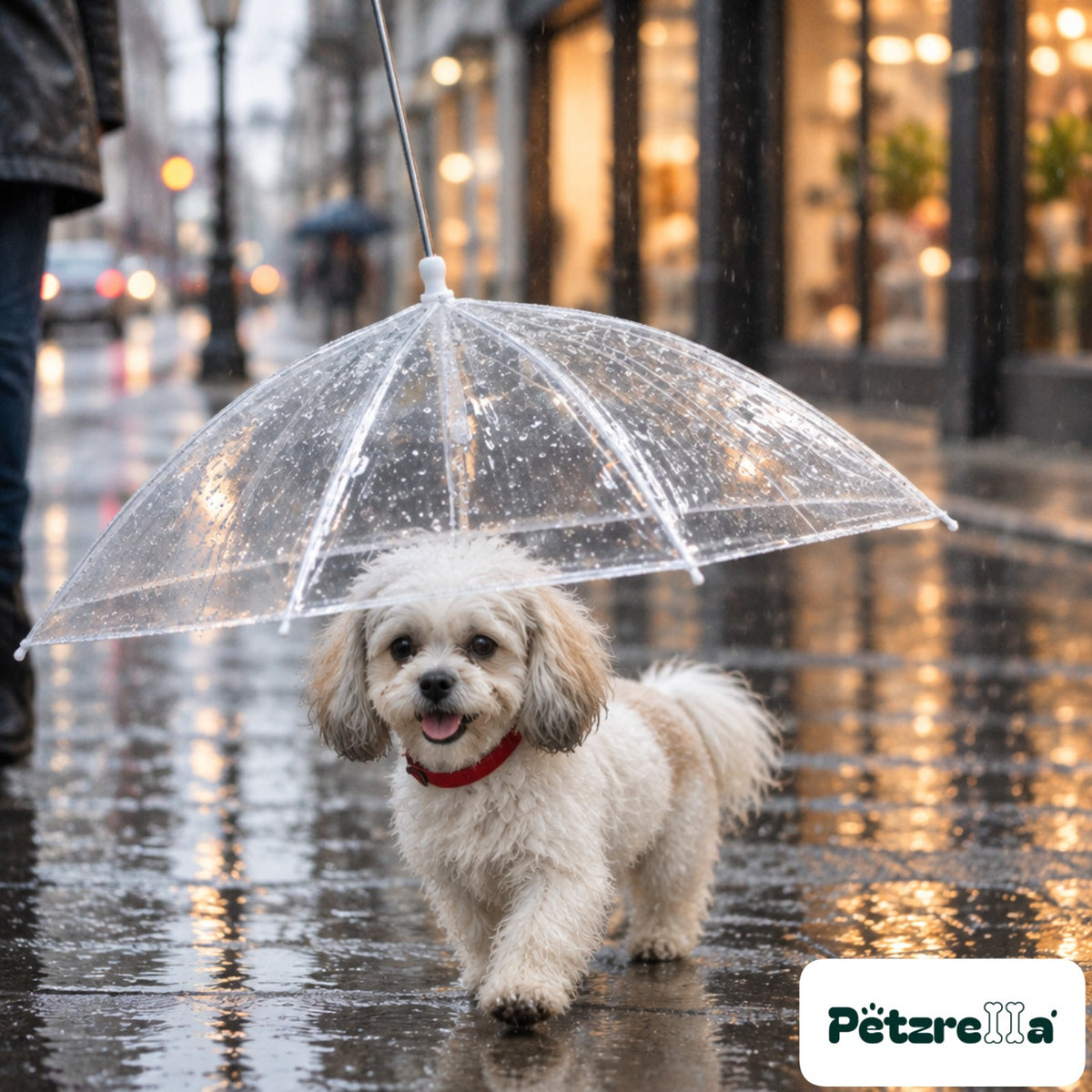 Petzrella Transparent Pet Umbrella - Shih Tzu on rainy pavement