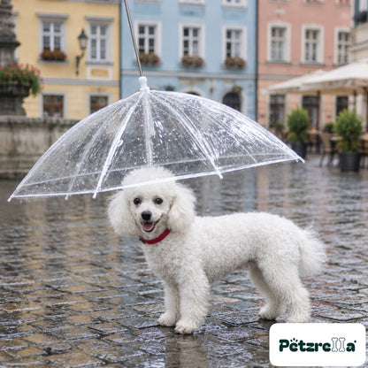 Petzrella Transparent Pet Umbrella - Westie on wet cobblestone square