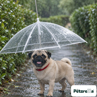 Petzrella Transparent Pet Umbrella - Pug on garden path in rain