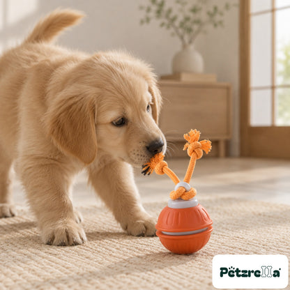 Petzrella Sonic-Play Smart Dog Ball - Golden Retriever puppy on sisal rug